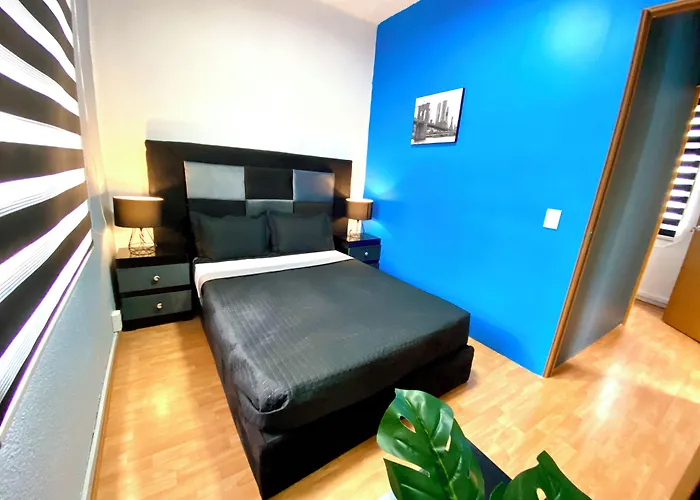 Roomies - Roma México DF